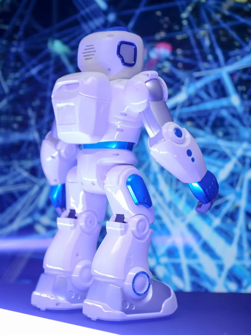 AI & ML Solutions